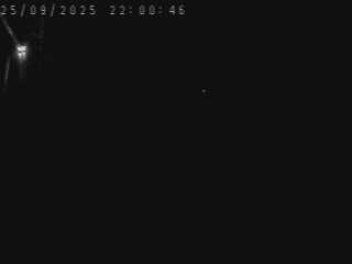 <h2>Webcam routière à Saint-Maurice-de-Lignon sur la RN88 entre Le Puy en Velay et Saint-Etienne</h2>