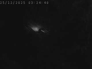 Webcam routière à Saint-Maurice-de-Lignon sur la RN88 entre Le Puy en Velay et Saint-Etienne