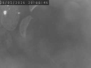 Webcam routière à Saint-Maurice-de-Lignon sur la RN88 entre Le Puy en Velay et Saint-Etienne