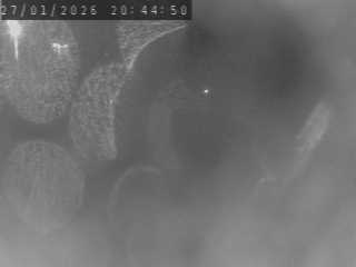 Webcam routière à Saint-Maurice-de-Lignon sur la RN88 entre Le Puy en Velay et Saint-Etienne