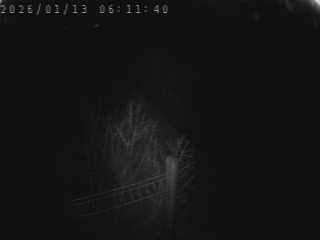 <h2>Caméra autoroutière France - A75, Bel-air, à hauteur de Creissels, en provenance du viaduc de Millau et en direction de Montpellier</h2>