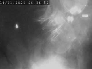 Caméra autoroutière France - A75, col de la Fagette à Banassac, en direction de Montpellier