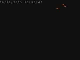 Webcam routière à Blavozy sur la RN88 entre Le Puy en Velay et Saint-Etienne