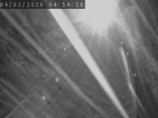 <h2>Webcam routière au niveau du lieu-dit de Peyrebeille dans la commune de Lanarce en Ardèche à 1282 mètres d'altitude</h2>