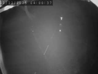 <h2>Caméra routière France - N88, au niveau de La Sauvetat à Landos, en direction de Le Puy-en-Velay</h2>