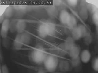 Caméra routière France - N88, au niveau de La Sauvetat à Landos, en direction de Le Puy-en-Velay