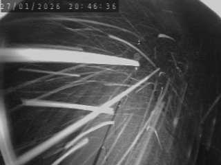 Caméra routière France - N88, au niveau de La Sauvetat à Landos, en direction de Le Puy-en-Velay